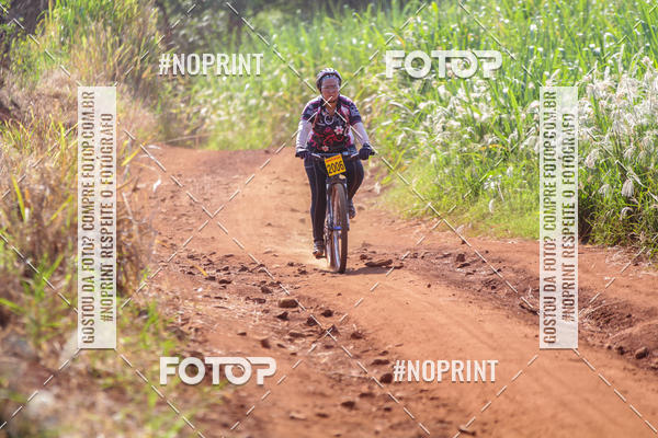 Buy your photos of the eventALIGA on Fotop