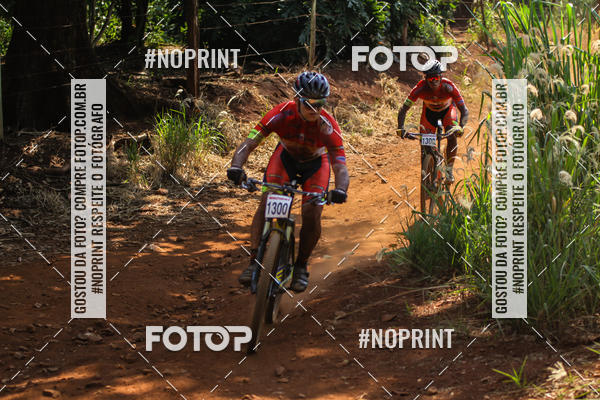 Buy your photos of the eventALIGA on Fotop