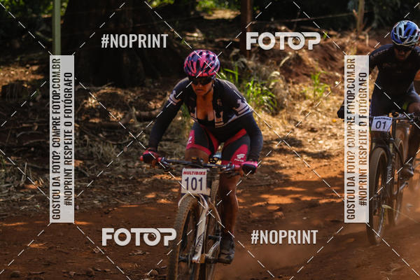 Buy your photos of the eventALIGA on Fotop