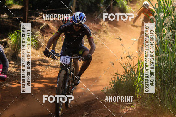 Buy your photos of the eventALIGA on Fotop