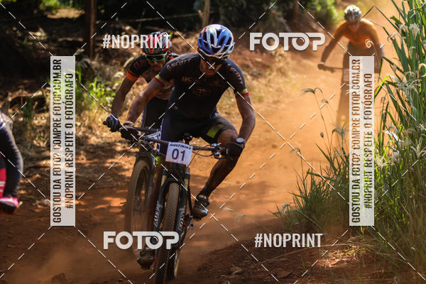 Buy your photos of the eventALIGA on Fotop