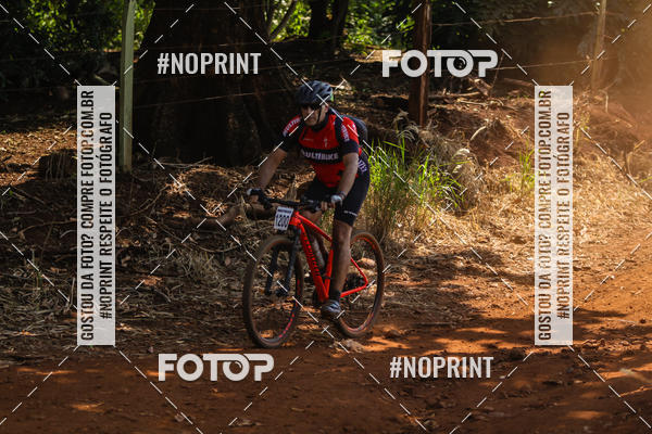 Buy your photos of the eventALIGA on Fotop