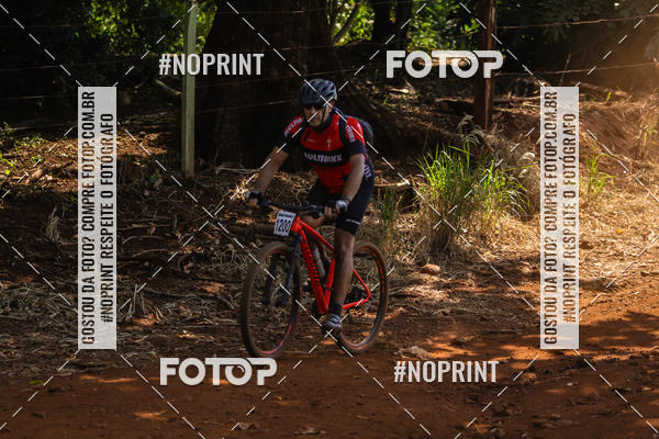 Buy your photos of the eventALIGA on Fotop