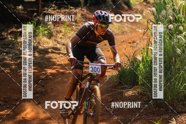 Buy your photos of the eventALIGA on Fotop