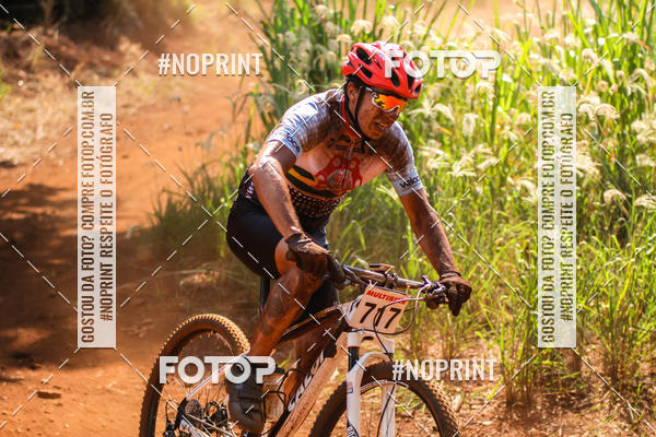 Buy your photos of the eventALIGA on Fotop