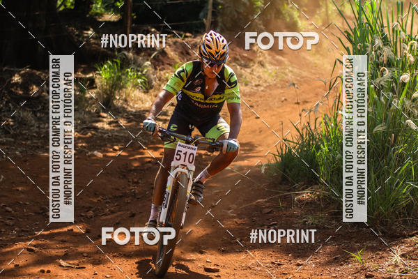 Buy your photos of the eventALIGA on Fotop