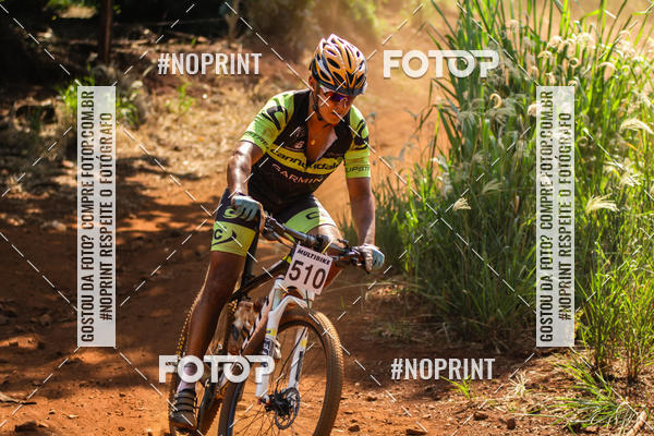 Buy your photos of the eventALIGA on Fotop