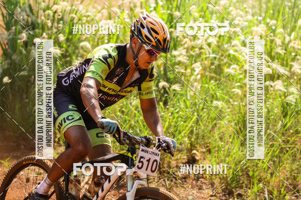 Buy your photos of the eventALIGA on Fotop