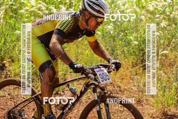 Buy your photos of the eventALIGA on Fotop