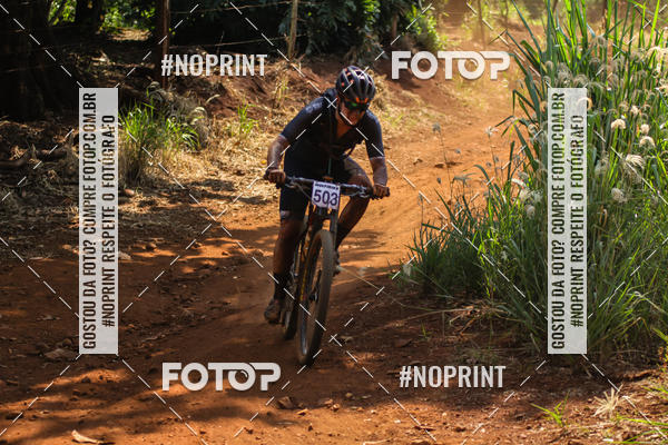 Buy your photos of the eventALIGA on Fotop