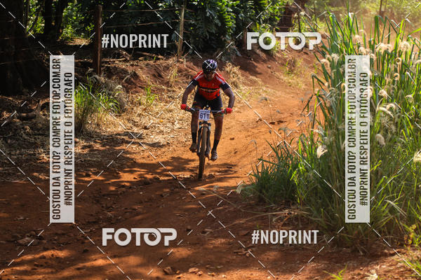 Buy your photos of the eventALIGA on Fotop