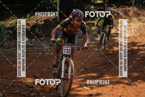 Buy your photos of the eventALIGA on Fotop