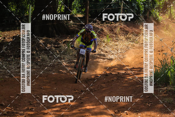 Buy your photos of the eventALIGA on Fotop