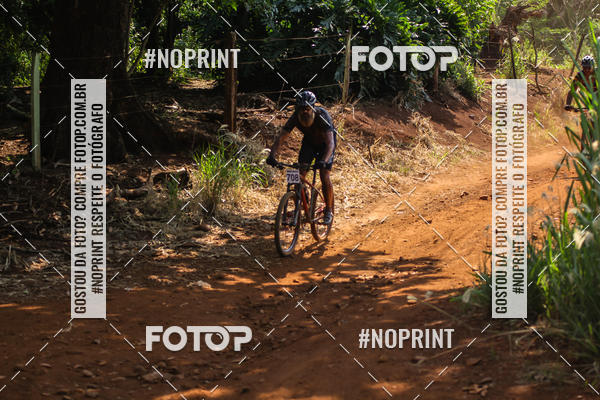 Buy your photos of the eventALIGA on Fotop