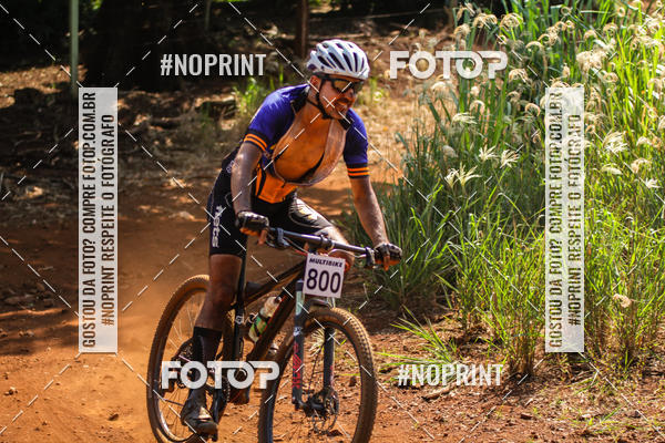 Buy your photos of the eventALIGA on Fotop