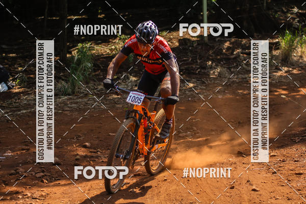 Buy your photos of the eventALIGA on Fotop