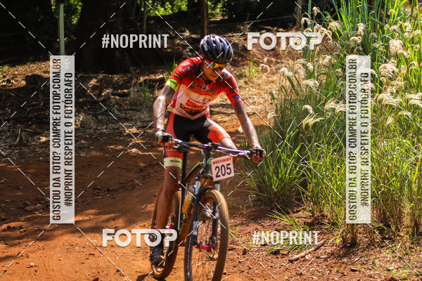 Buy your photos of the eventALIGA on Fotop