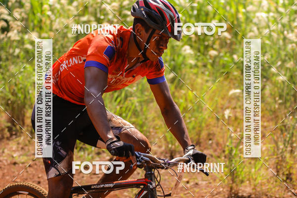 Buy your photos of the eventALIGA on Fotop