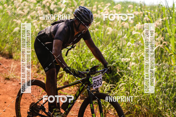 Buy your photos of the eventALIGA on Fotop