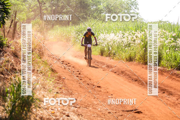 Buy your photos of the eventALIGA on Fotop