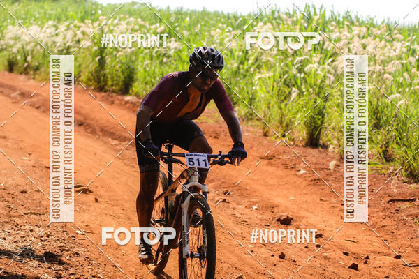 Buy your photos of the eventALIGA on Fotop