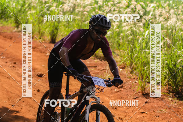 Buy your photos of the eventALIGA on Fotop