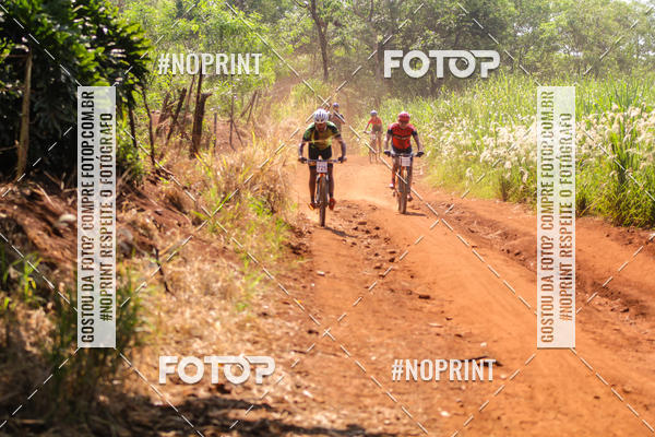 Buy your photos of the eventALIGA on Fotop