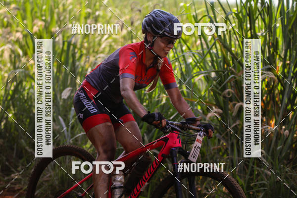 Buy your photos of the eventALIGA on Fotop