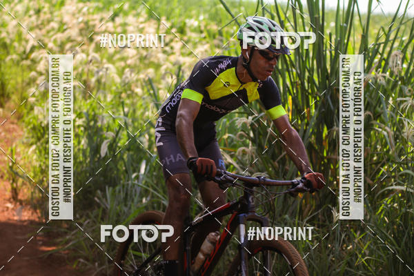 Buy your photos of the eventALIGA on Fotop