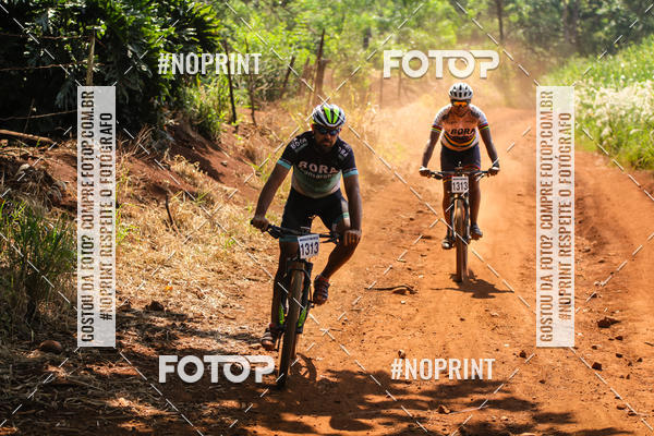 Buy your photos of the eventALIGA on Fotop