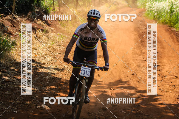 Buy your photos of the eventALIGA on Fotop