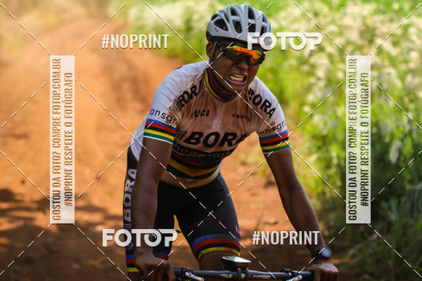 Buy your photos of the eventALIGA on Fotop