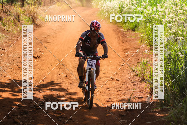 Buy your photos of the eventALIGA on Fotop