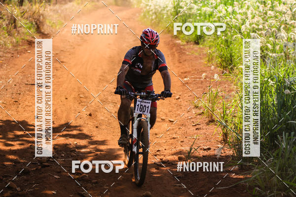 Buy your photos of the eventALIGA on Fotop