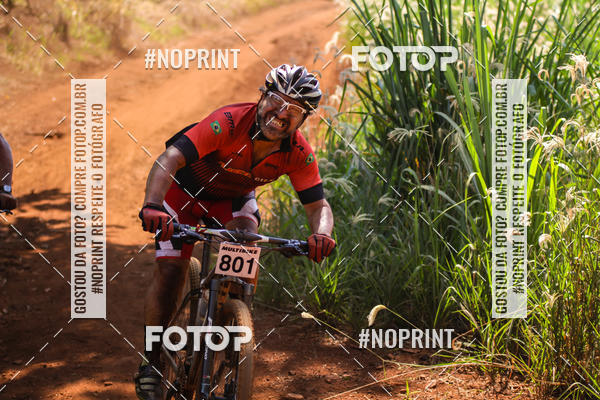 Buy your photos of the eventALIGA on Fotop