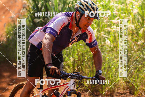 Buy your photos of the eventALIGA on Fotop