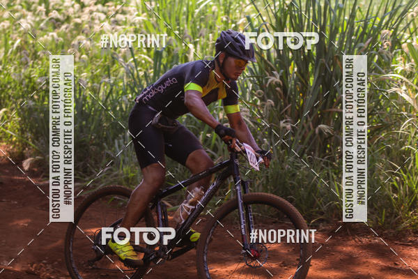 Buy your photos of the eventALIGA on Fotop