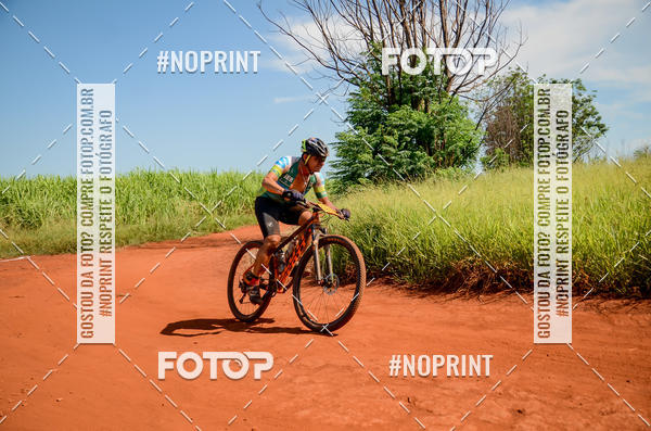 Buy your photos of the eventALIGA on Fotop