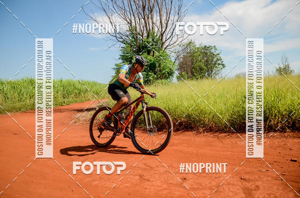 Buy your photos of the eventALIGA on Fotop