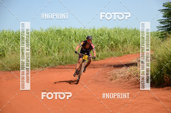 Buy your photos of the eventALIGA on Fotop