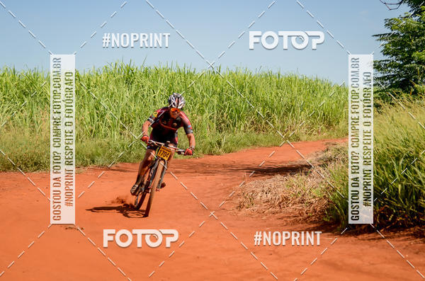 Buy your photos of the eventALIGA on Fotop