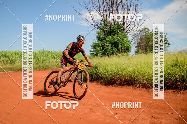 Buy your photos of the eventALIGA on Fotop