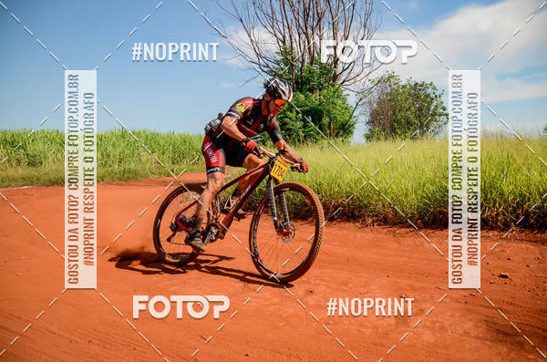 Buy your photos of the eventALIGA on Fotop