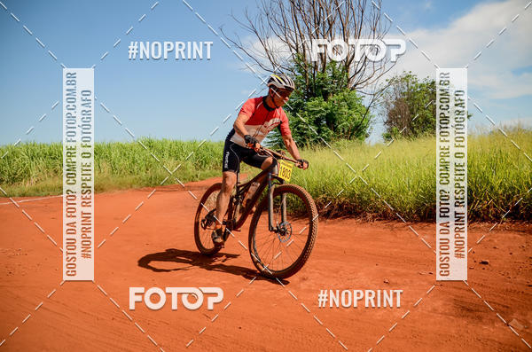 Buy your photos of the eventALIGA on Fotop