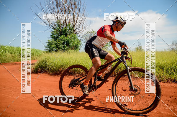 Buy your photos of the eventALIGA on Fotop