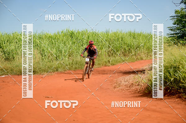 Buy your photos of the eventALIGA on Fotop