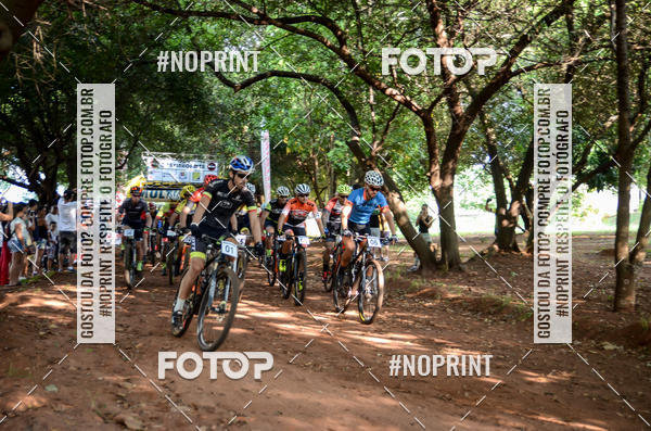 Buy your photos of the eventALIGA on Fotop