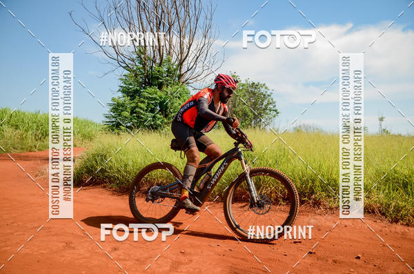 Buy your photos of the eventALIGA on Fotop