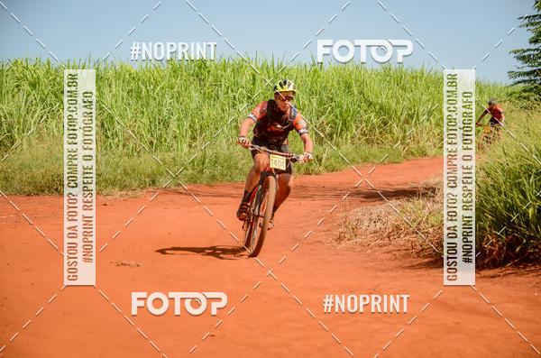 Buy your photos of the eventALIGA on Fotop