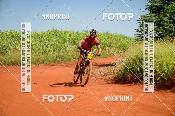 Buy your photos of the eventALIGA on Fotop